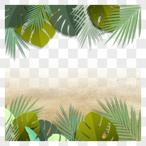 夏季夏天沙滩热带植物图片