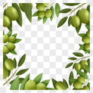 植物橄榄创意边框图片