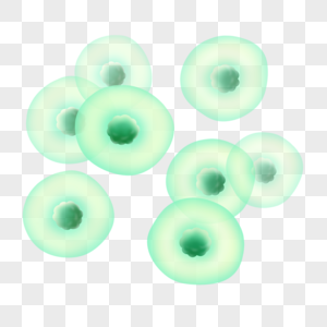 球形细胞圆形膜细胞写实绿色透明图片