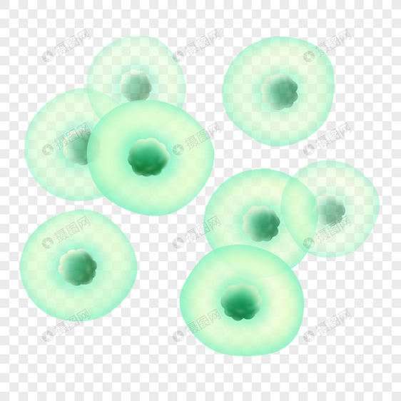 球形细胞圆形膜细胞写实绿色透明图片