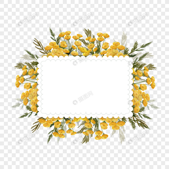 艾菊花卉水彩简约边框图片