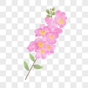 紫薇花树水彩风格花卉高清图片