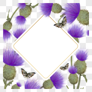 蓟花卉水彩紫色淡雅边框图片
