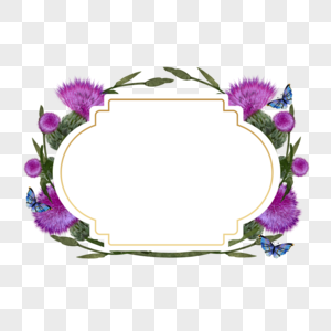 蓟花卉紫色植物边框高清图片