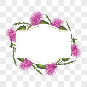 蓟花卉粉色水彩边框图片