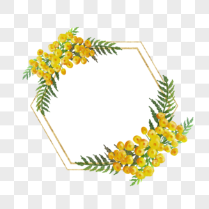 艾菊花卉水彩六边形边框图片