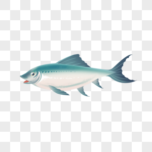 鲱鱼瑞典鱼类食物蓝色图片