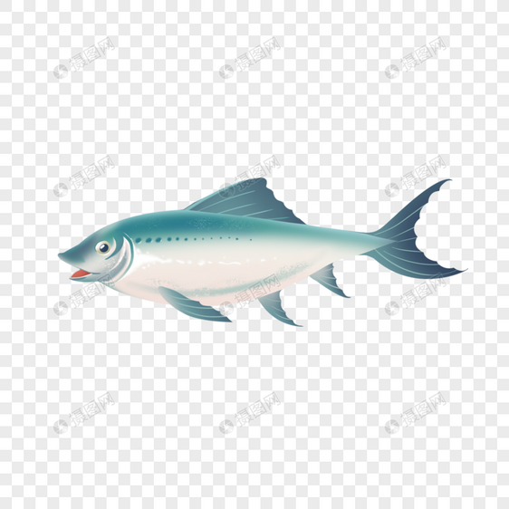 鲱鱼瑞典鱼类食物蓝色图片