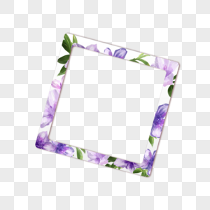 花卉植物宝丽来紫色相框图片