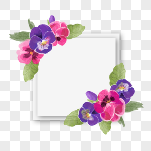 三色堇花卉水彩立体边框图片