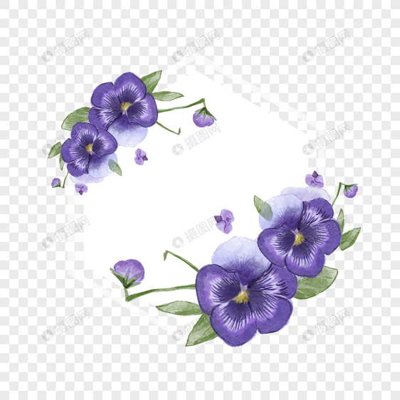 三色堇花卉水彩六边形边框图片