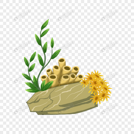 海藻岩石海绵海葵植物插画图片