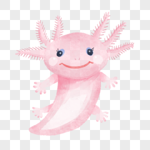 蝾螈水彩可爱两栖动物粉红色图片