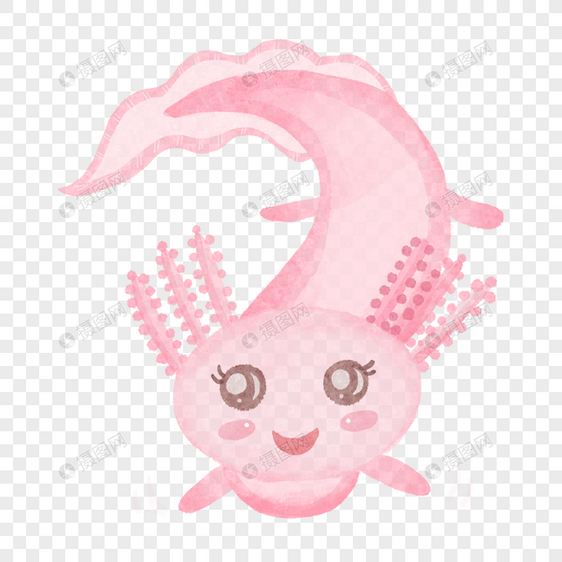 蝾螈水彩可爱动物粉红色游泳图片