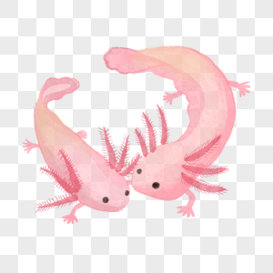 蝾螈水彩可爱动物粉红色两个图片