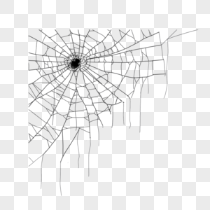 蜘蛛网蜘蛛线条细丝图片