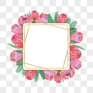 普罗蒂亚花卉水彩正方形红色边框图片