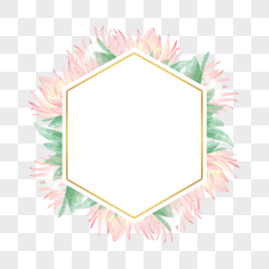 普罗蒂亚花卉水彩粉色淡雅边框图片