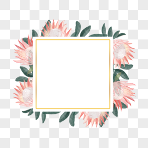 普罗蒂亚花卉水彩正方形粉色边框图片