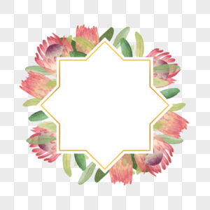 普罗蒂亚花卉水彩装饰边框图片