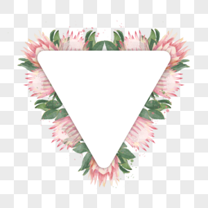 普罗蒂亚花卉水彩三角形边框图片
