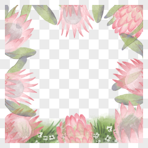 普罗蒂亚花卉水彩淡雅边框图片