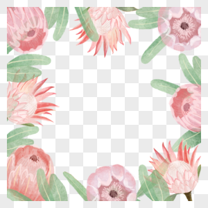 普罗蒂亚花卉水彩粉色边框图片
