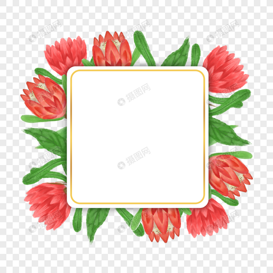 普罗蒂亚花卉水彩正方形边框图片