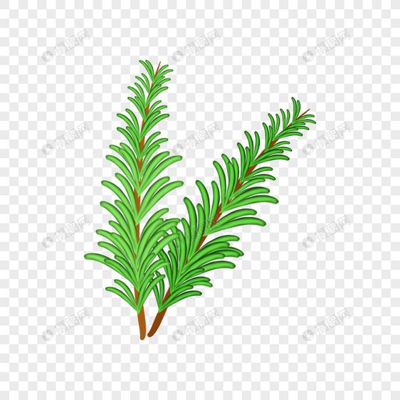 迷迭香植物绿色草药图片