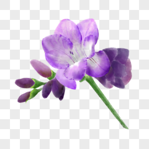 杜鹃花紫色鲜花图案图片