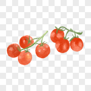 西红柿两串水彩蔬菜水果高清图片