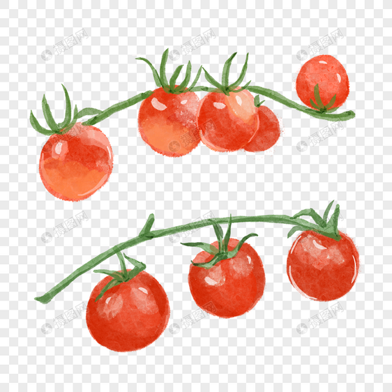 西红柿两串水彩蔬菜水果红色图片