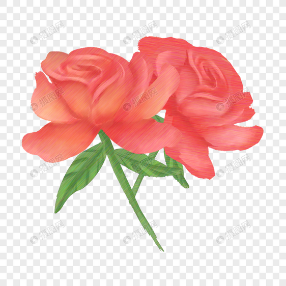 玫瑰花彩铅唯美风格图片