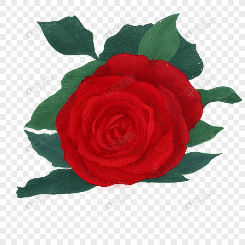 玫瑰彩铅风格红色图片