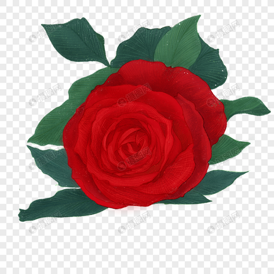 玫瑰彩铅风格红色图片
