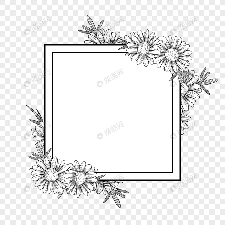 素描向日葵花卉边框