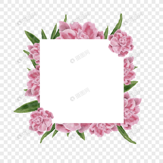 水彩粉色夹竹桃花卉几何边框图片