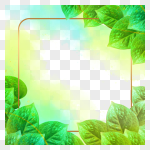 绿色清凉叶子植物花卉水彩边框图片