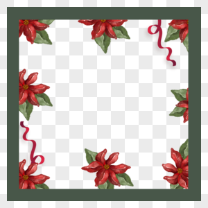 圣诞红色花朵圣诞冬季植物边框图片