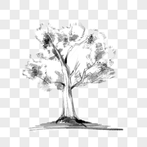 黑白素描大树图片
