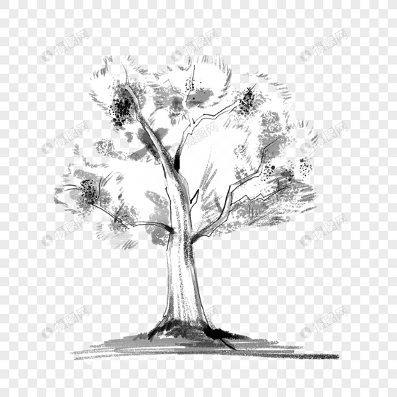 黑白素描大树图片