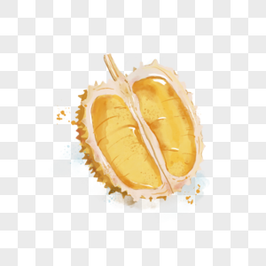 水彩黄色水果榴莲图片