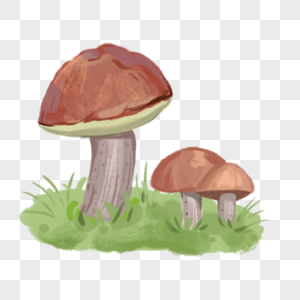 草地上的蘑菇高清图片