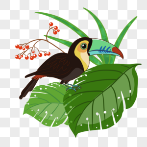 夏季卡通热带植物巨嘴鸟图片