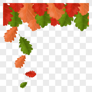 绿色的秋天落叶底边框图片