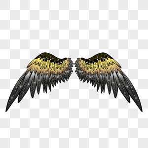 双色羽毛魔法翅膀图片