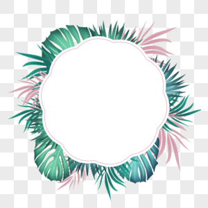夏季热带棕榈叶花边边框图片