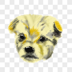 黄色可爱宠物小狗头像图片