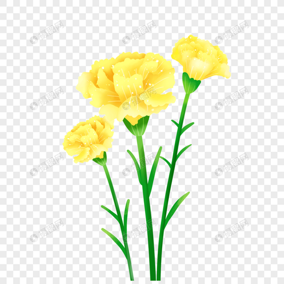 黄色三朵康乃馨花束图片