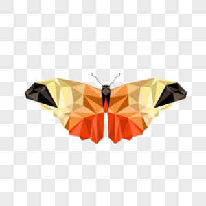 橙色黄色几何风格多边形低聚蝴蝶图片
